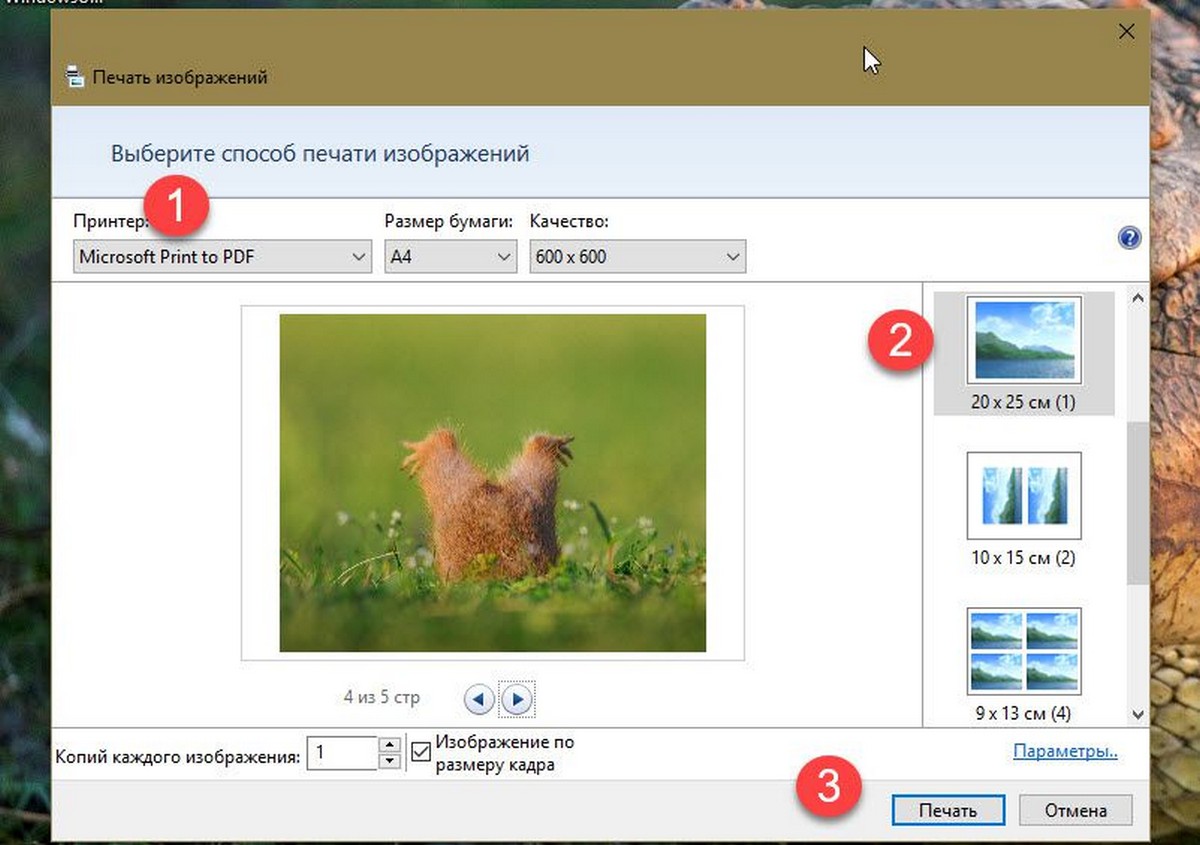 Microsoft Print to PDF
